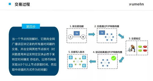 一张图解析 区块链交易的核心结构与技术生态全览